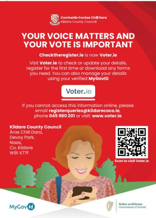 Voter.ie Small Poster 